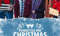 Poinsettias for Christmas Movie Still 1
