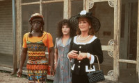 To Wong Foo Thanks for Everything, Julie Newmar Movie Still 8