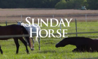 A Sunday Horse Movie Still 3