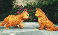 Garfield: A Tail of Two Kitties Movie Still 8