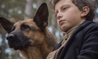 Shepherd: The Hero Dog Movie Still 3