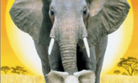 Whispers: An Elephant's Tale Movie Still 5