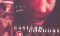 Eastern Condors Movie Still 1