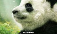 Pandas Movie Still 1