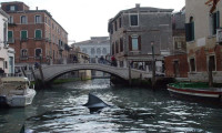 Sharks in Venice Movie Still 4