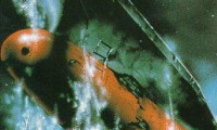 Final Yamato Movie Still 2