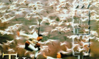 Tai Chi II Movie Still 1
