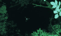Incident at Montauk Movie Still 2