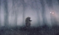 Hedgehog in the Fog Movie Still 6