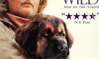 The Call of the Wild: Dog of the Yukon Movie Still 2