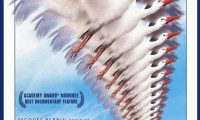Winged Migration Movie Still 8
