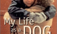 My Life as a Dog Movie Still 8