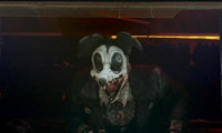 Mouse Of Horrors Movie Still 3