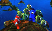 Finding Nemo Movie Still 2
