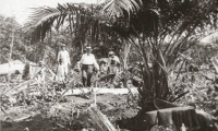 Amazon: Longest River in the World Movie Still 4