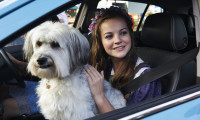 Pudsey the Dog: The Movie Movie Still 2