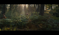 Stranger in the Woods Movie Still 4