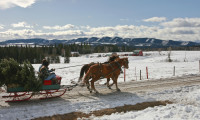 A Heartland Christmas Movie Still 3