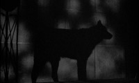 Cry of the Werewolf Movie Still 6