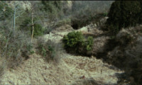 Woods Are Wet Movie Still 3