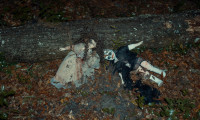 The Last Cabin Movie Still 2
