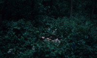 Pneuma Movie Still 4