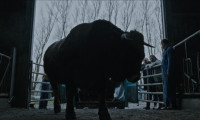 The Bull Movie Still 3