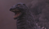 Godzilla vs. Mechagodzilla II Movie Still 5