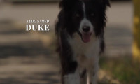 A Dog Named Duke Movie Still 3