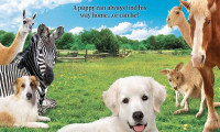 Adventures of Bailey: The Lost Puppy Movie Still 8