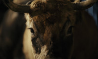 The Bull Movie Still 2