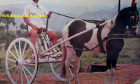 Thevar Magan Movie Still 6