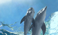 Dolphin Tale 2 Movie Still 5