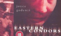 Eastern Condors Movie Still 7