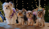 Puppy Star Christmas Movie Still 4