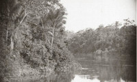 Amazon: Longest River in the World Movie Still 5