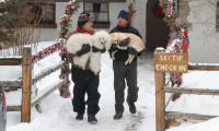 The Dog Who Saved Christmas Vacation Movie Still 7