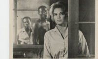 The Sins of Rachel Cade Movie Still 6
