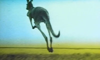 Dot and the Kangaroo Movie Still 4