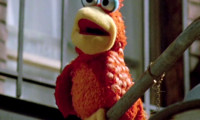 Sesame Street Presents: Follow That Bird Movie Still 8
