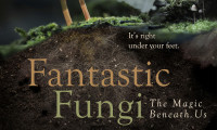 Fantastic Fungi Movie Still 1