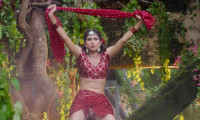 Saaree Movie Still 2