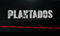Plantados Movie Still 4