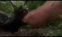 Slugs Movie Still 4