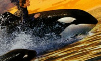 Free Willy 2: The Adventure Home Movie Still 5