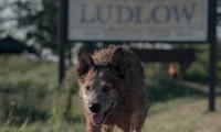 Pet Sematary: Bloodlines Movie Still 3