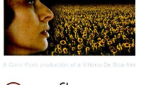 Sunflower Movie Still 7