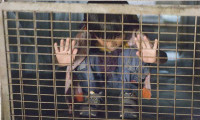 Home Sweet Home Movie Still 2