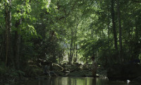 The Ways of Man Movie Still 1