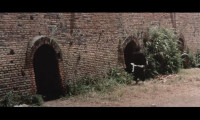 The Dragon vs. Needles of Death Movie Still 7
